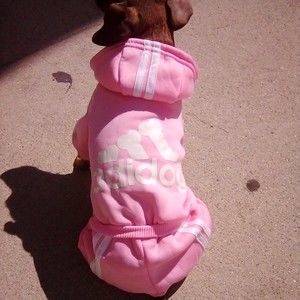 Meet your Posher, Lucille McGillicuddy